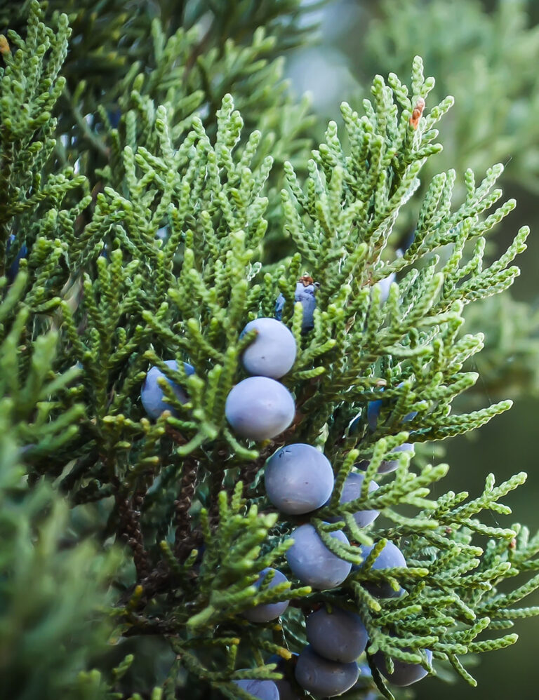 Post with couple photos